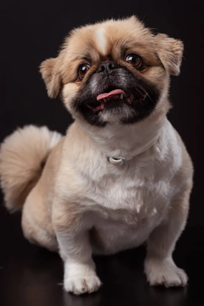 Nömeli Grüter - Bewachung